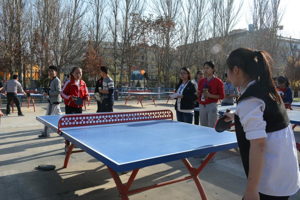 星空网页版登录入口乒乓球比赛圆满成功